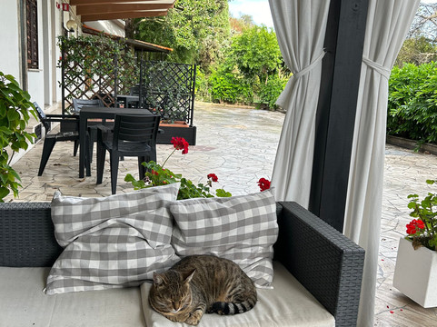 博蒙瑞汽车旅馆主图