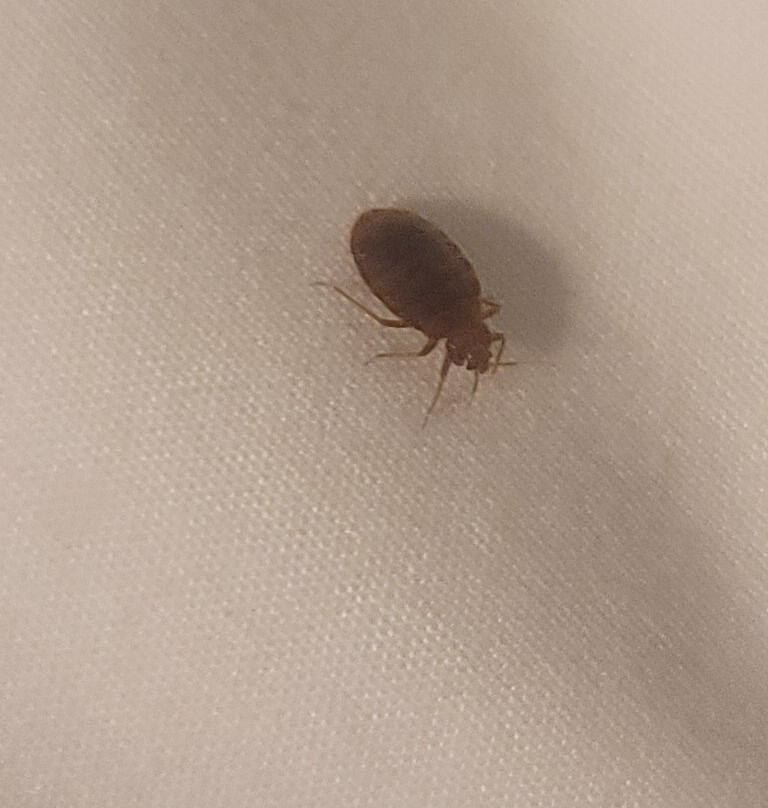 Super 8 by Wyndham Deadwood/Black Hills Area主图