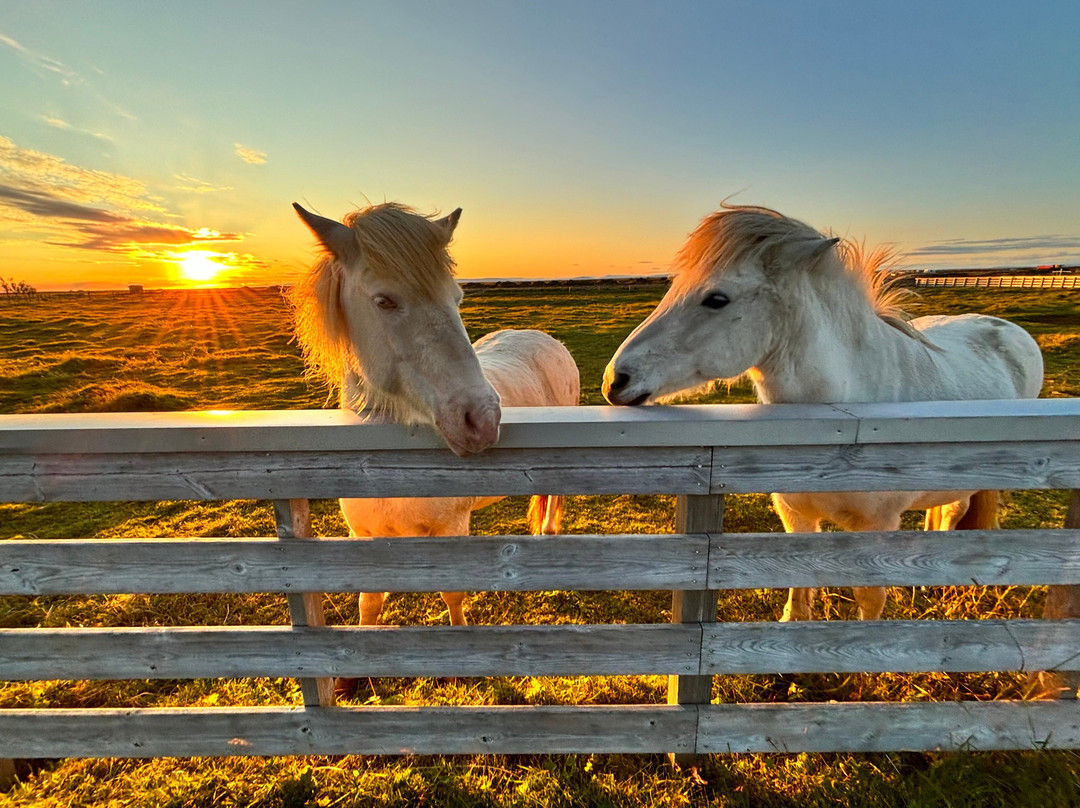 Lindartun Guesthouse主图