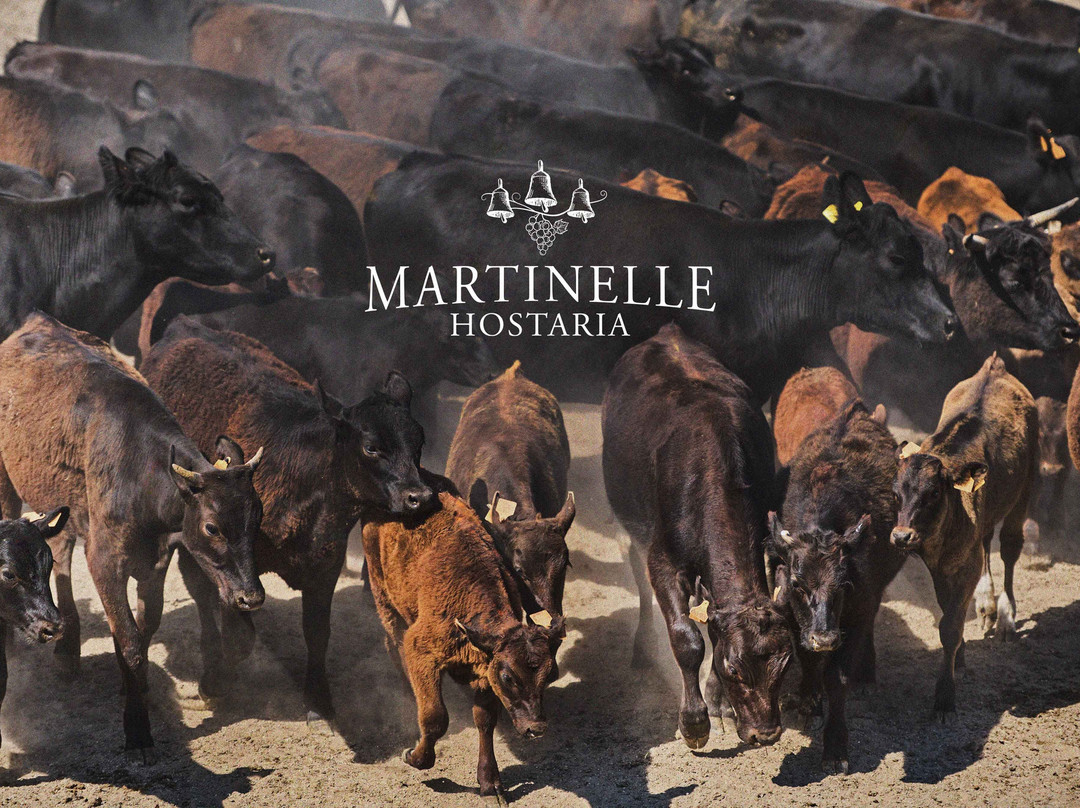 Fiumana餐馆和美食-Hostaria Martinelle