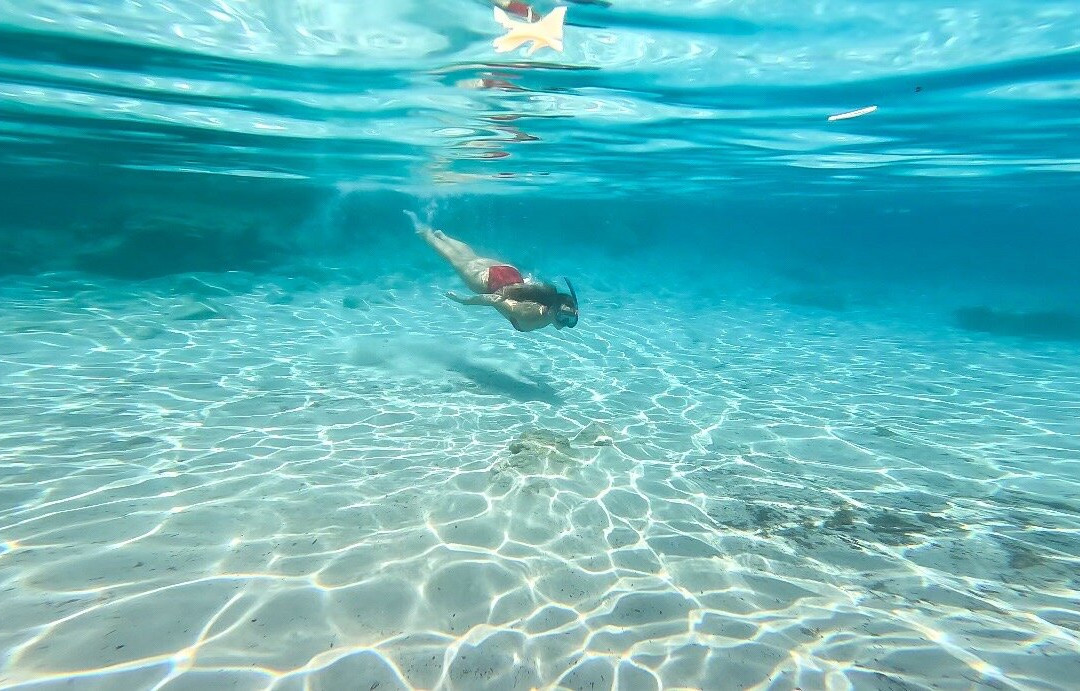 Bayside and Tora Boat Tours-博德鲁姆必去景点