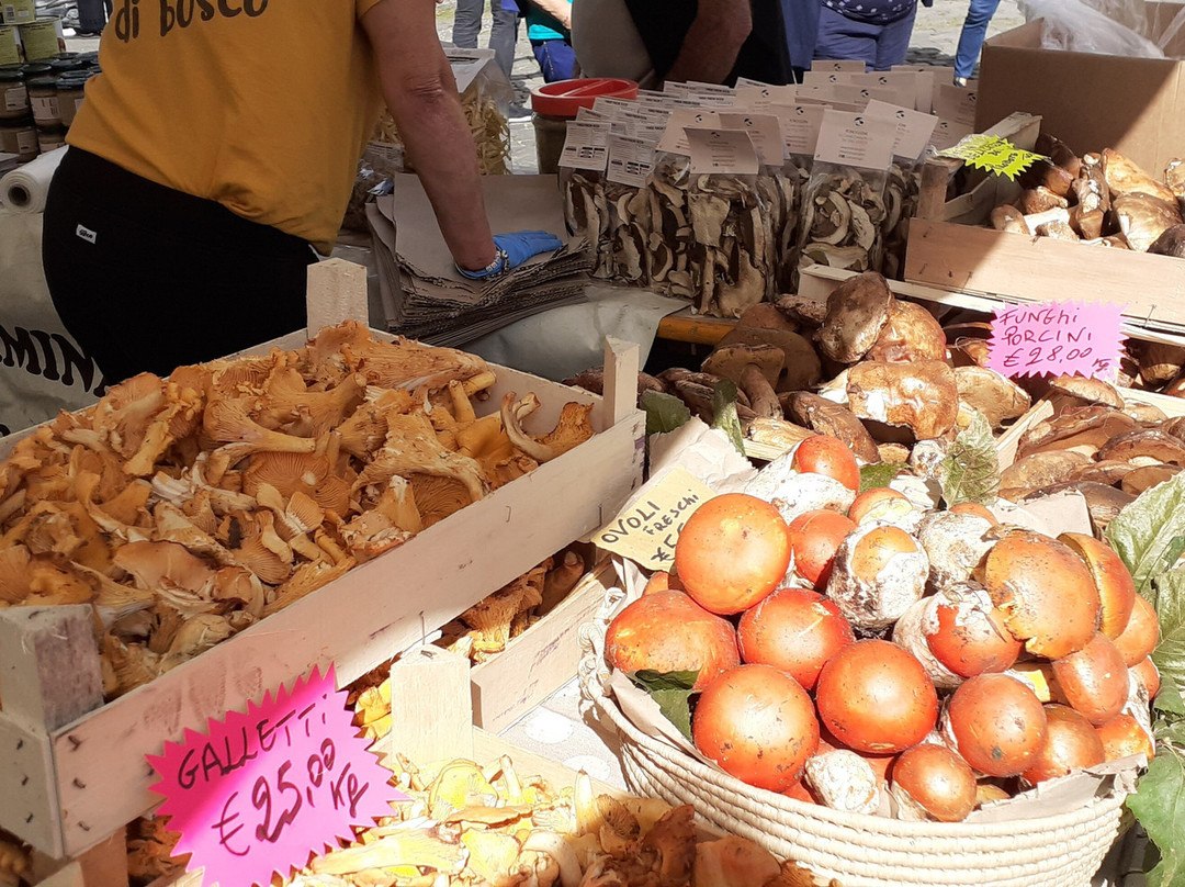Porcini Mushroom Festival-Oriolo Romano必去景点