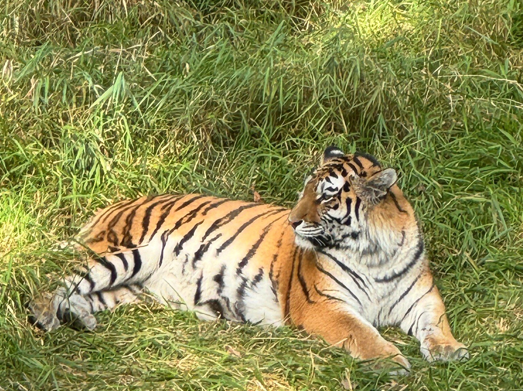 Minnesota Zoo-Apple Valley必去景点