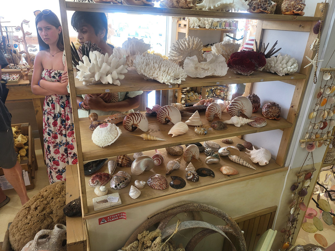 Factory of Natural Sponges-Pothia必去景点