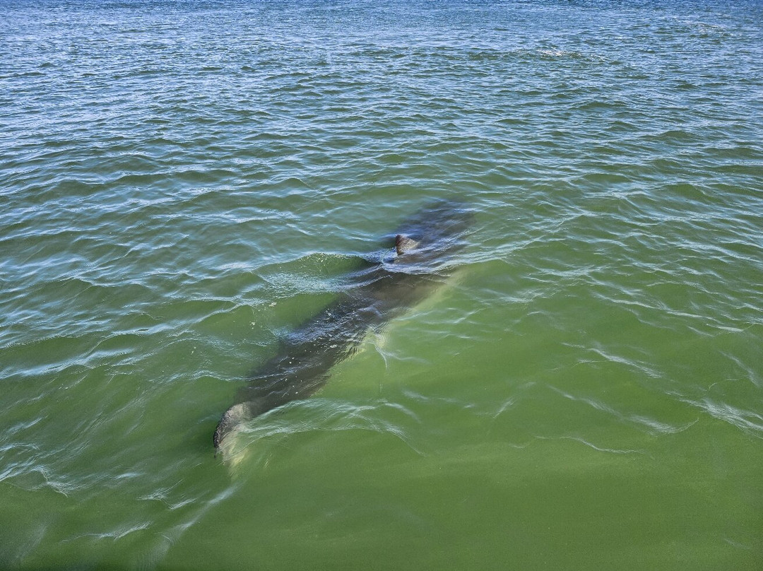Monomoy Sportfishing-查塔姆必去景点