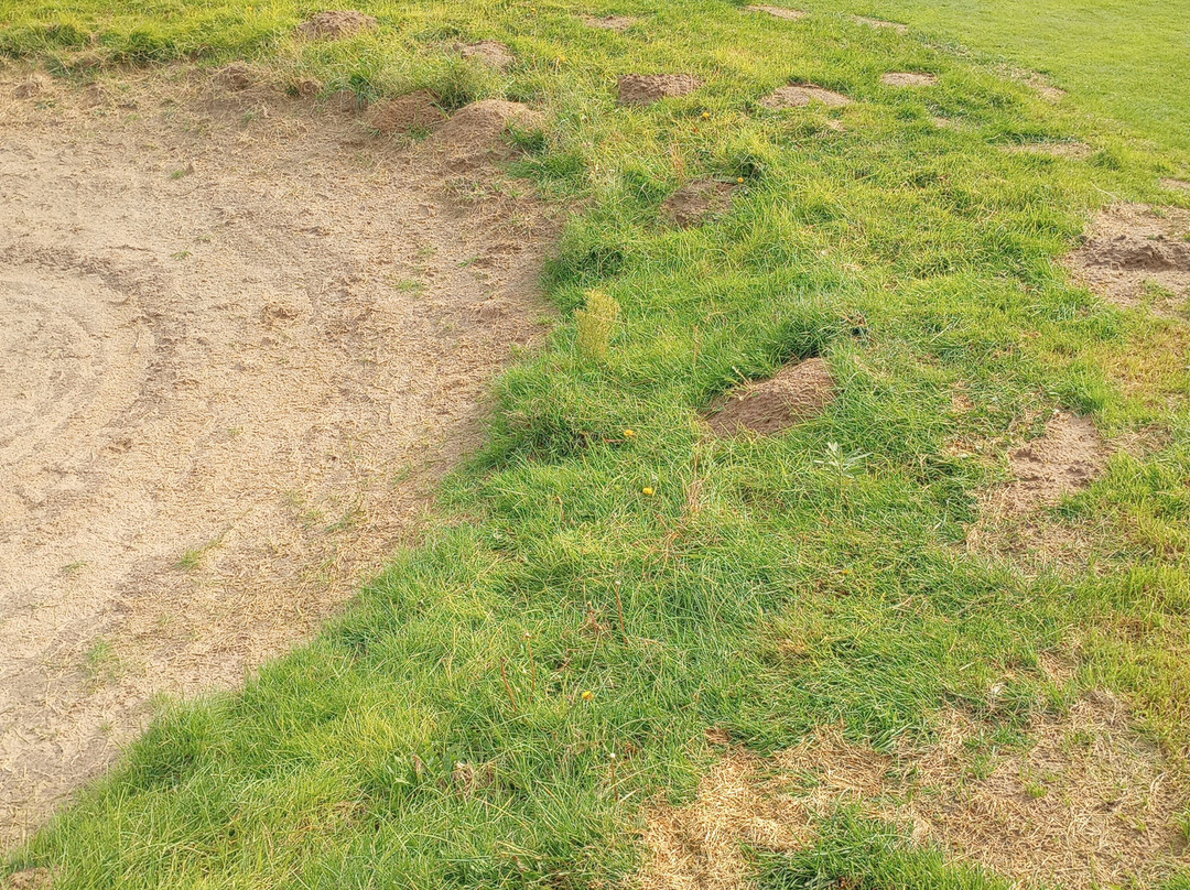 Awarii Dunes Golf Club-Axtell必去景点