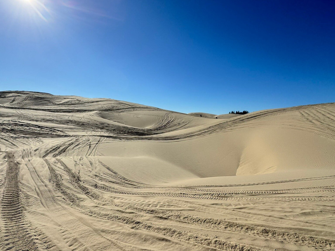 Ocean Breeze ATV Rentals-弗洛伦斯必去景点