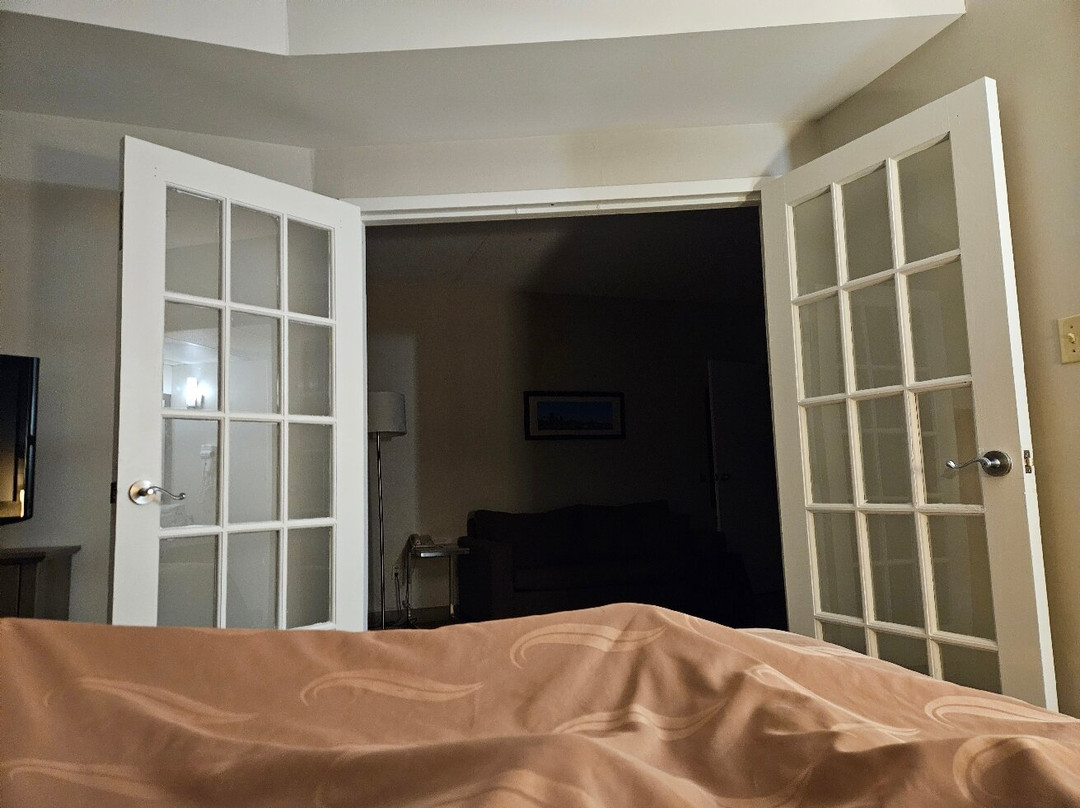 Quality Suites Quebec City主图