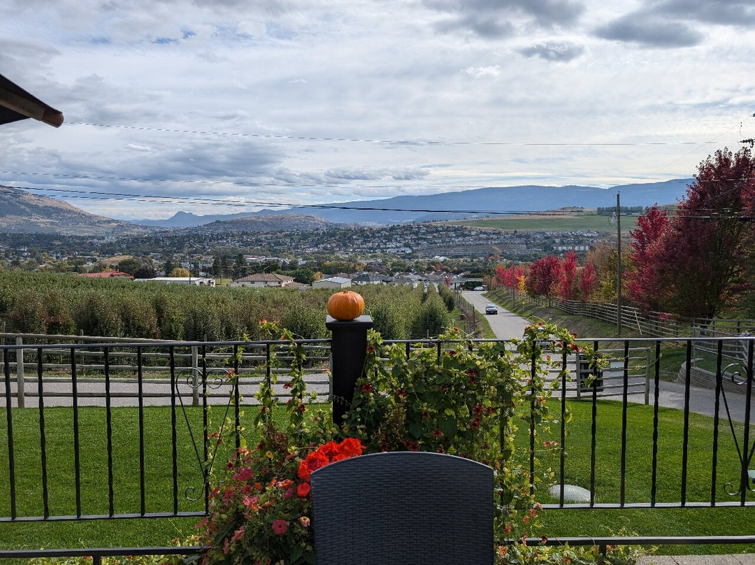 Davison Orchards Country Village景点图片