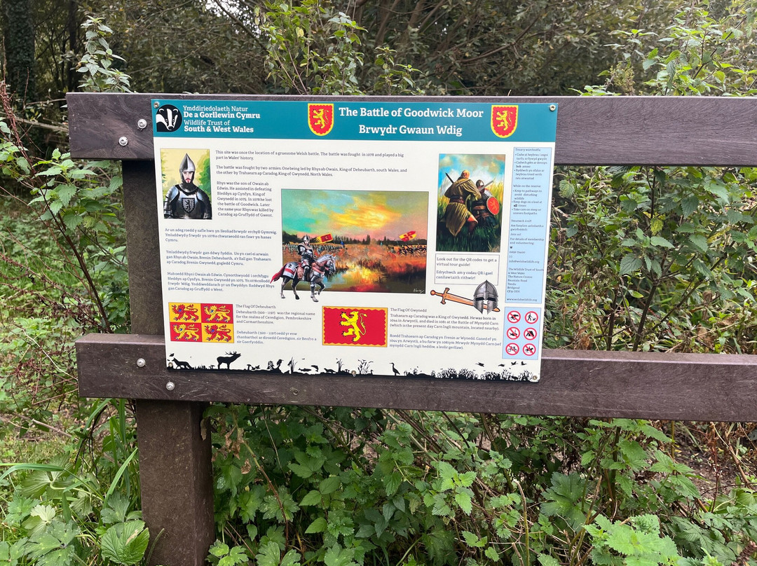 Goodwick Medieval Walk Trail景点图片
