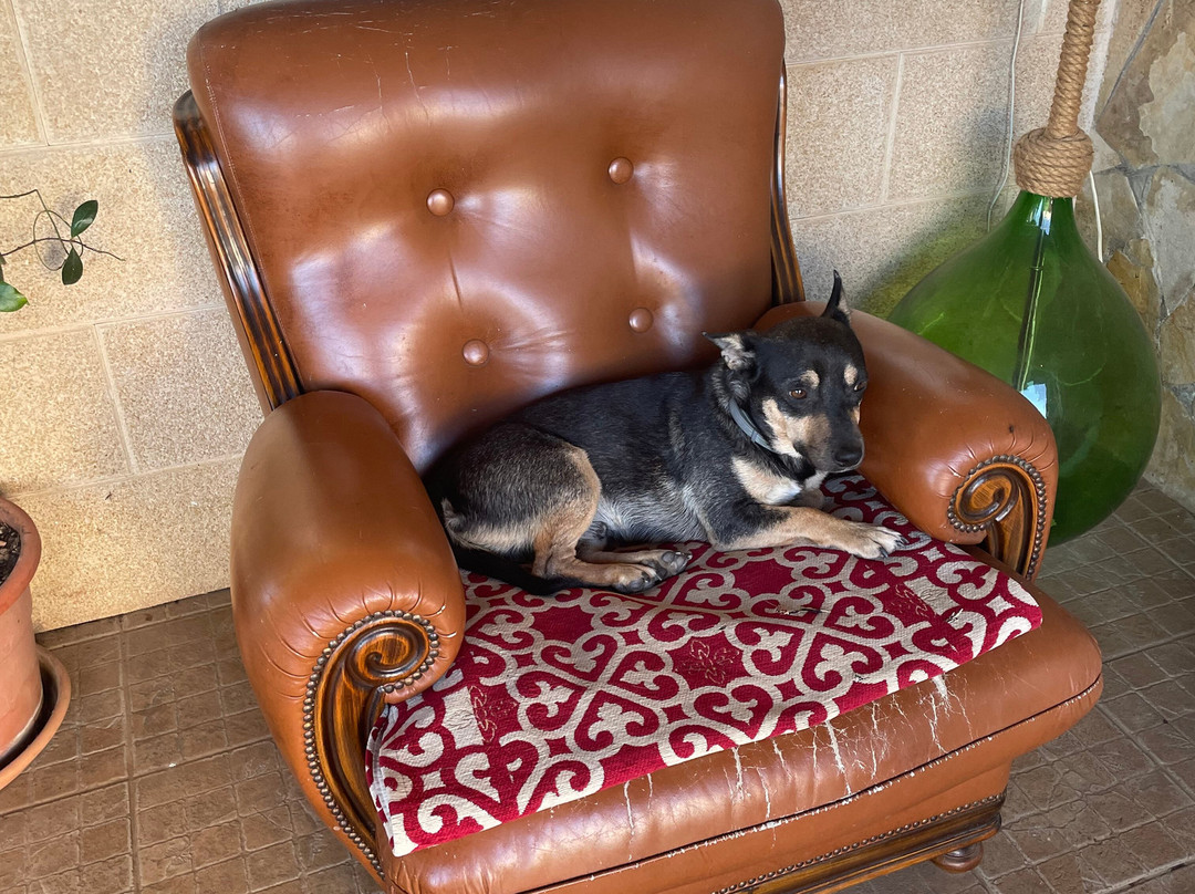 B&B Mandorla Amara主图