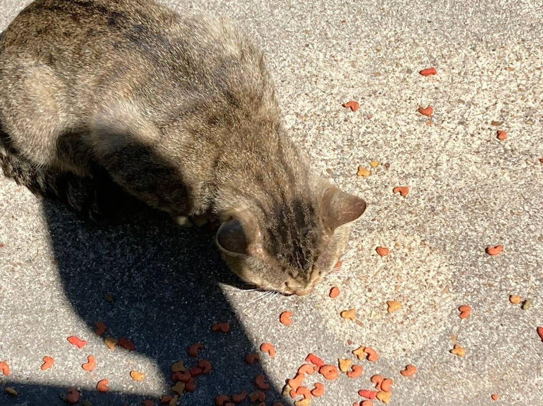 Colorado Canyon-博蒙特必去景点
