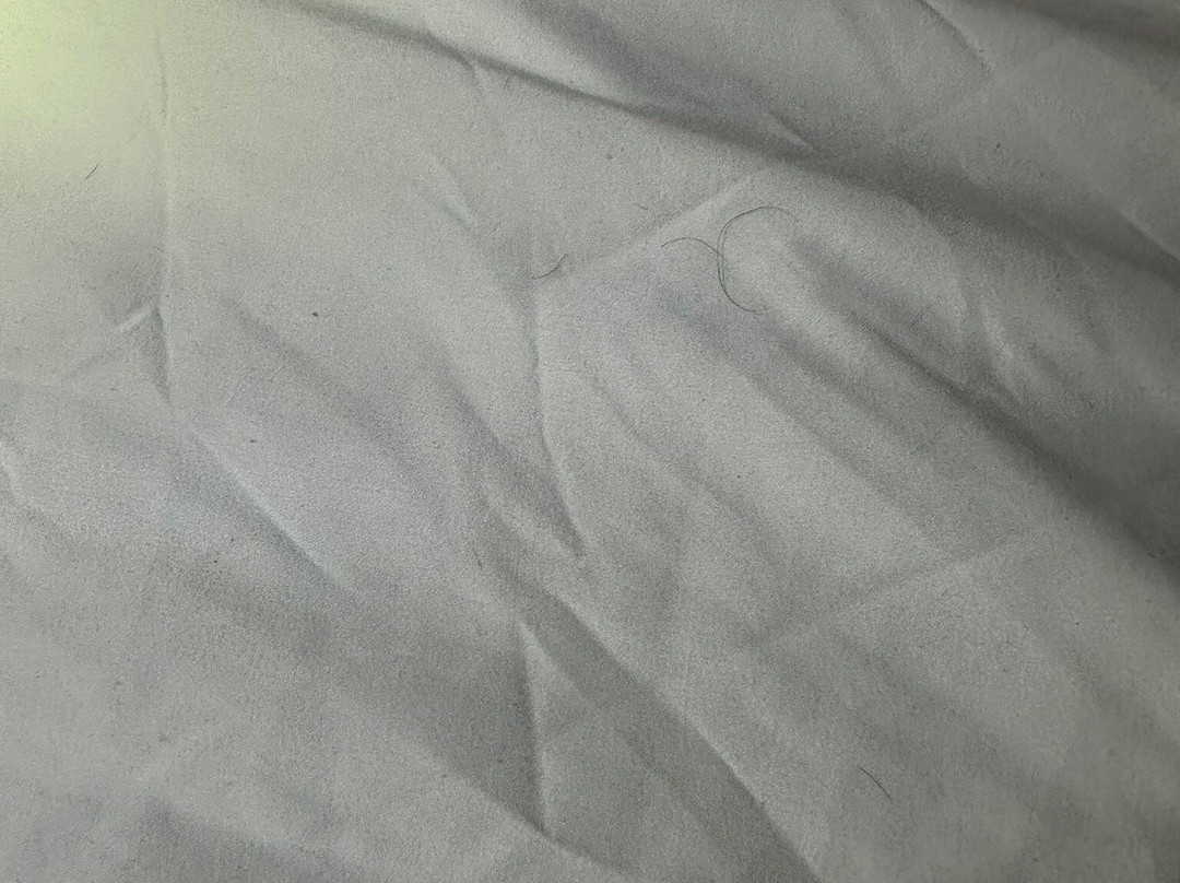 Timberland Inn主图