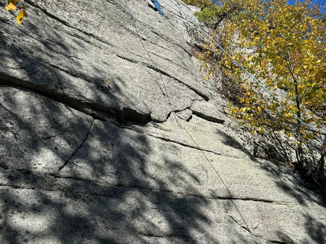 Alpine Endeavors景点图片