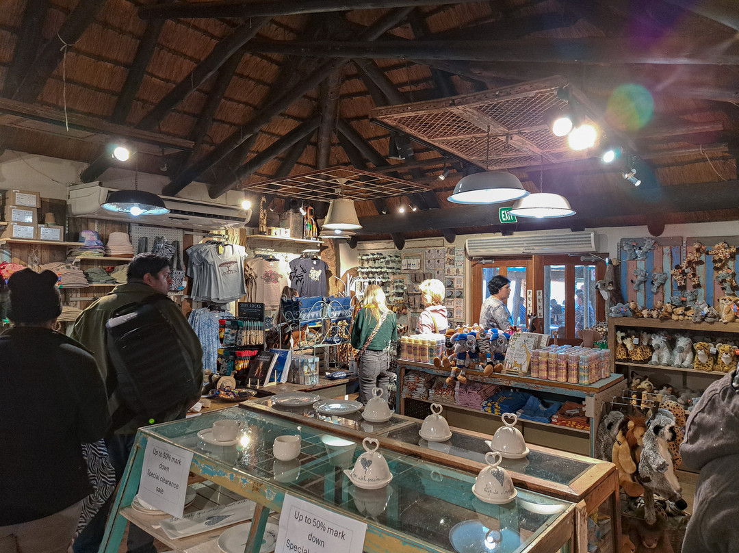 Tshokwane Picnic Site-克鲁格国家公园必去景点