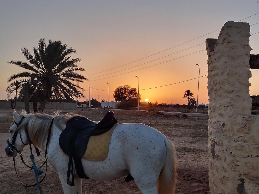 Ranch Adada Djerba-阿基尔必去景点