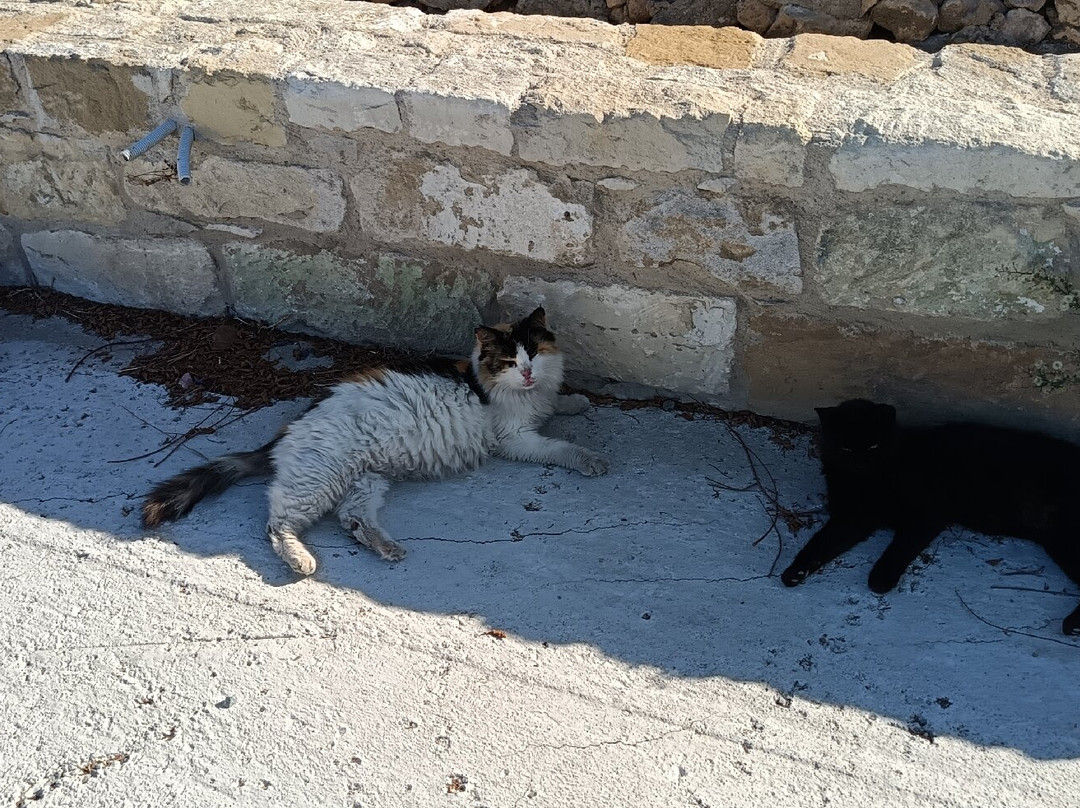 St. Nicholas of the Cats-Akrotiri必去景点