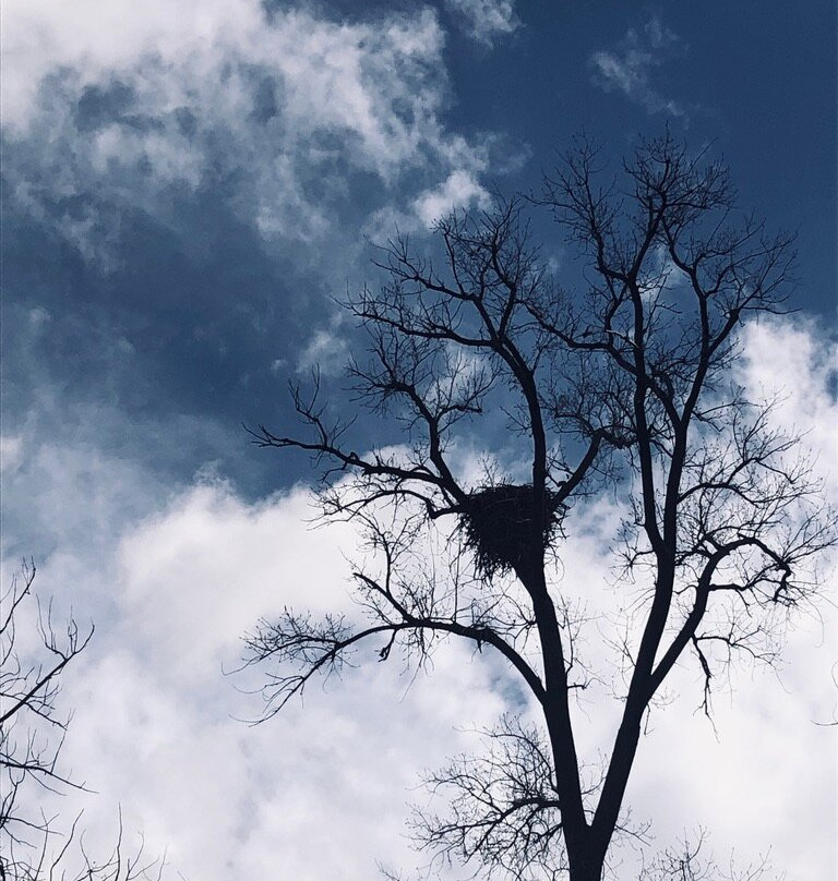 Blue Heron Landing-Horicon必去景点