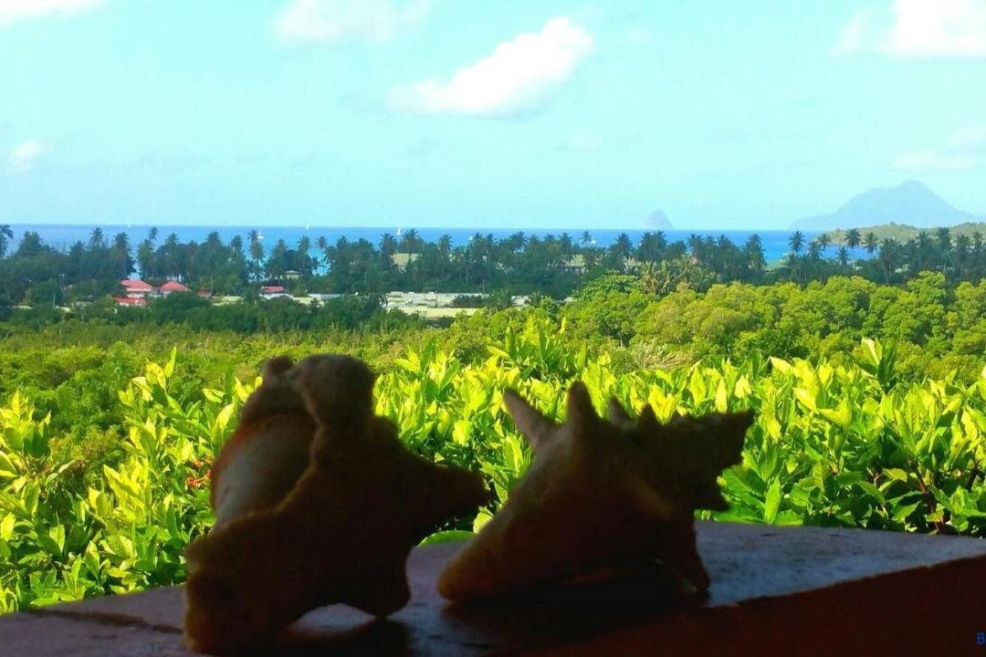 Studios Carribean Sea View