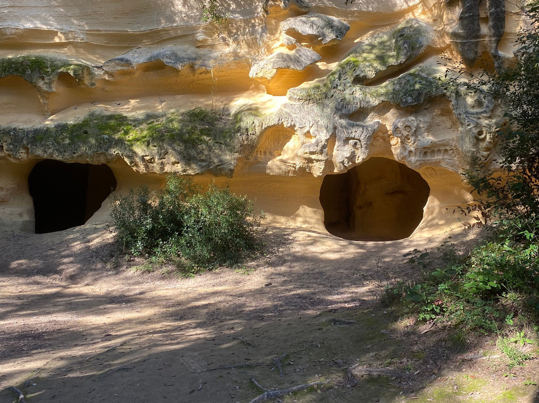 Grotte Gialle景点图片