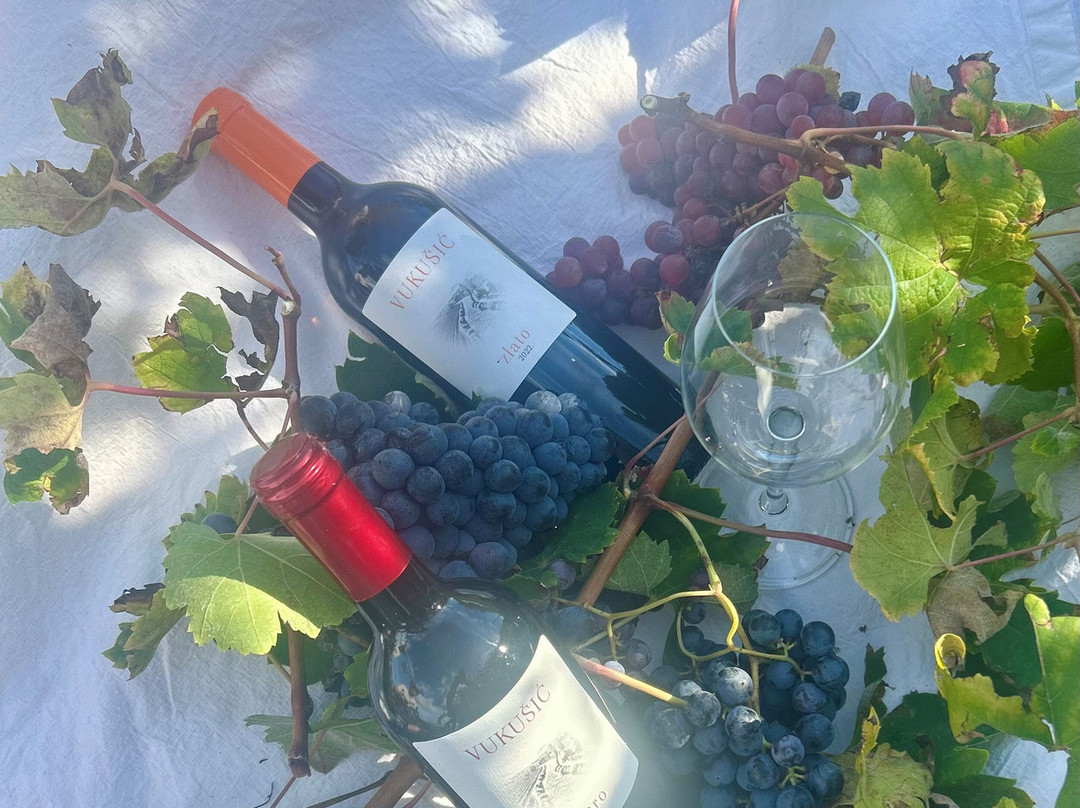 Winery Vucica - Wine tasting景点图片