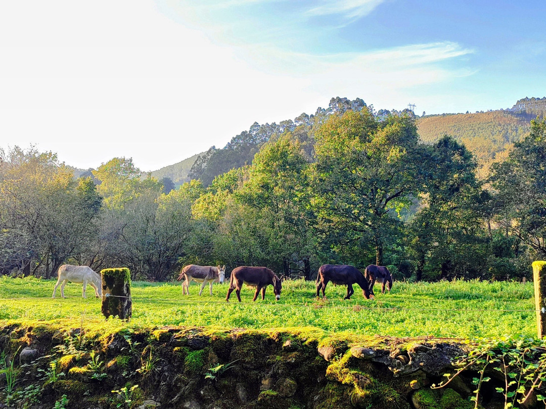 维斯戈桥露台酒店主图