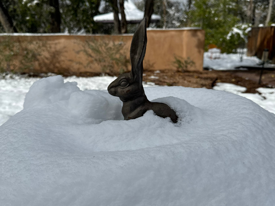 Casa Escondida Bed & Breakfast主图