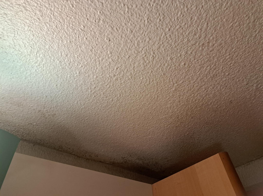 B&b Hotel Niort Sud Venise Verte主图