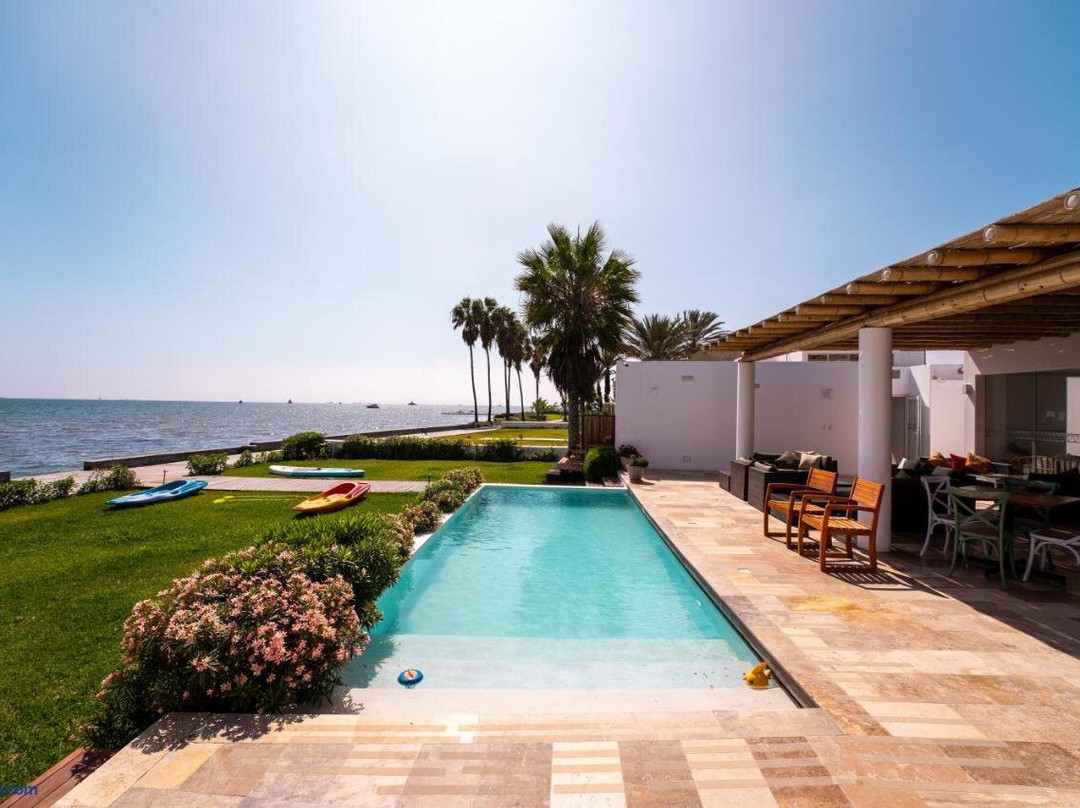 Atoq Paracas Reserva主图