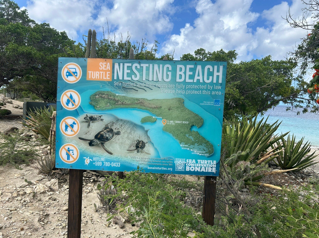 Te Amo Beach-Kralendijk必去景点