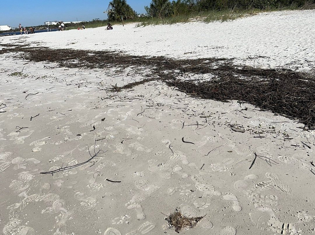 Apollo Beach Nature Preserve-Apollo Beach必去景点