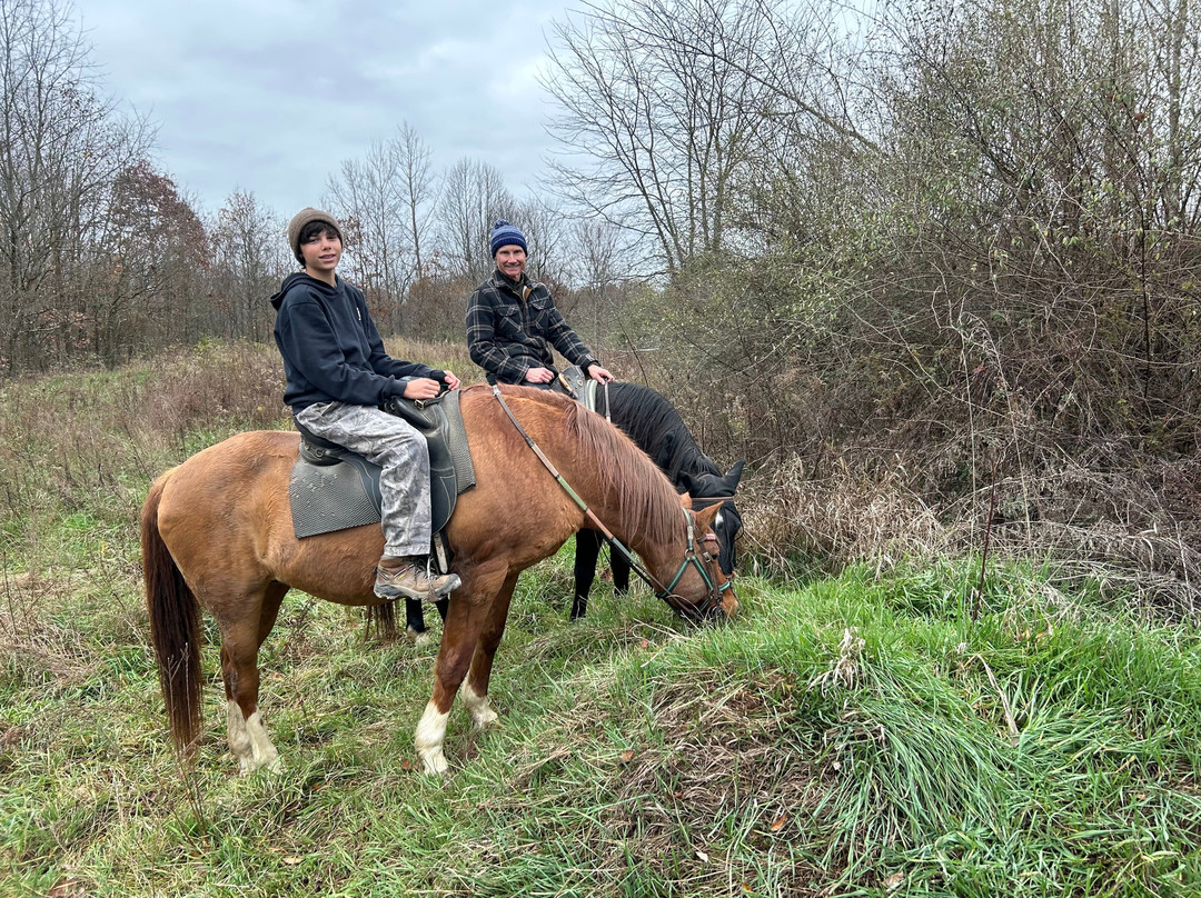 Equestrian Ridge Farm-New Plymouth必去景点
