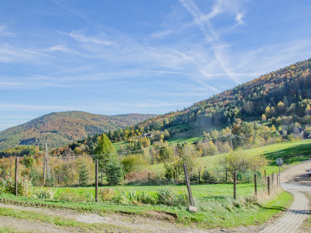 Punkt Widokowy Przełęcz Targanicka-Porabka必去景点