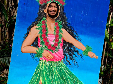 Aloha 'ike Tours-希洛必去景点