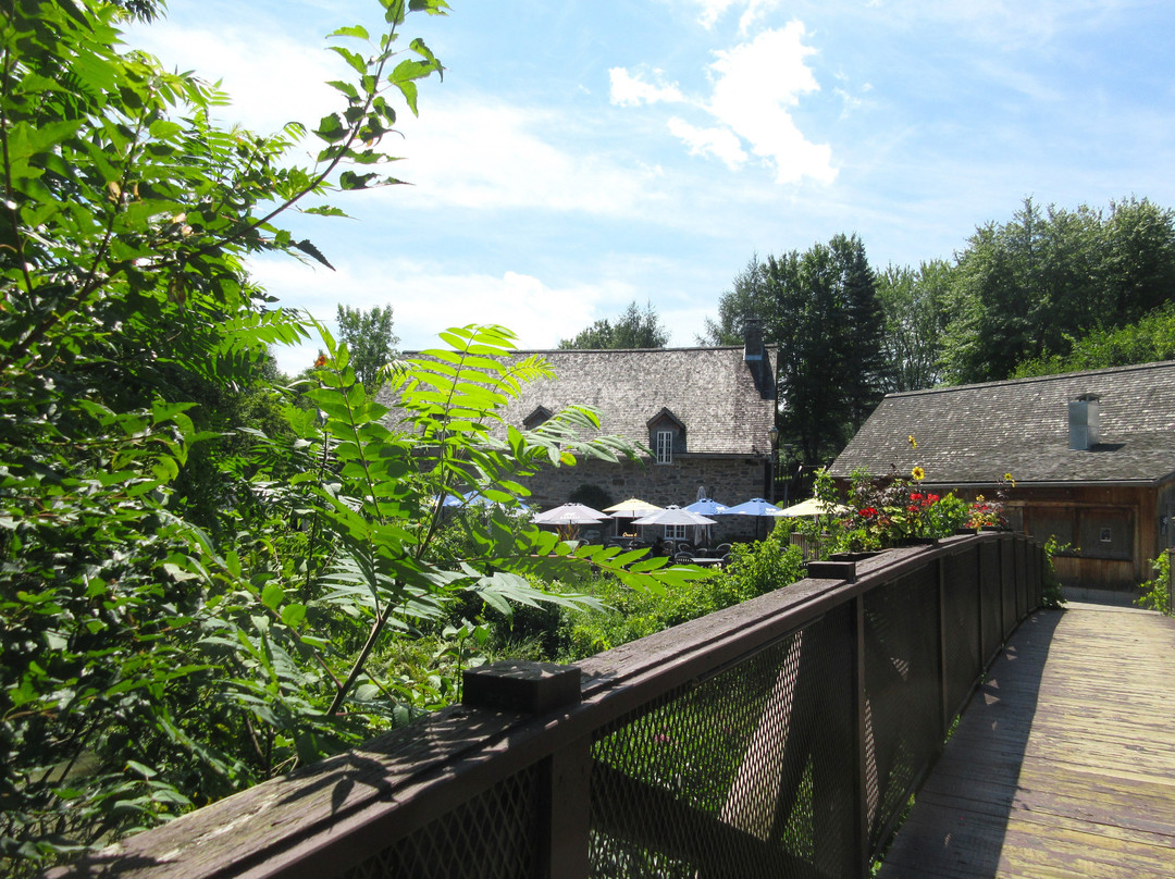 Le Moulin Michel景点图片