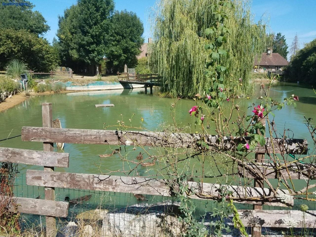Ferme Bressane les Arums