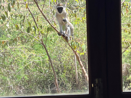 Lewa Wilderness主图