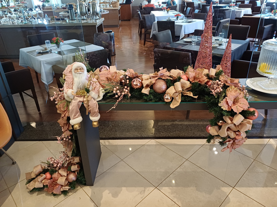 Hotel Araucária Plaza主图