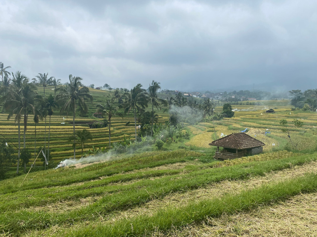 The Haere Seminyak By Astadala主图