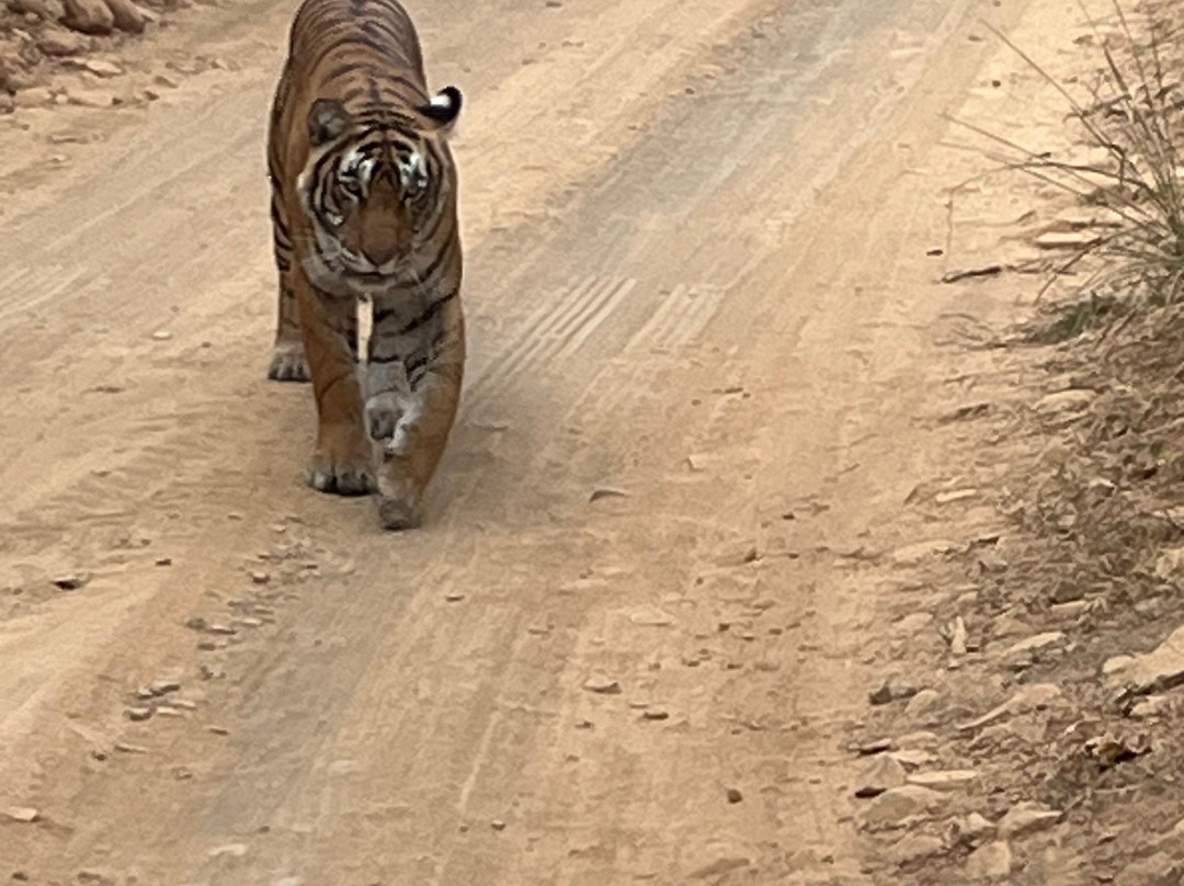 Rifa Tours India - Private Day Tour景点图片