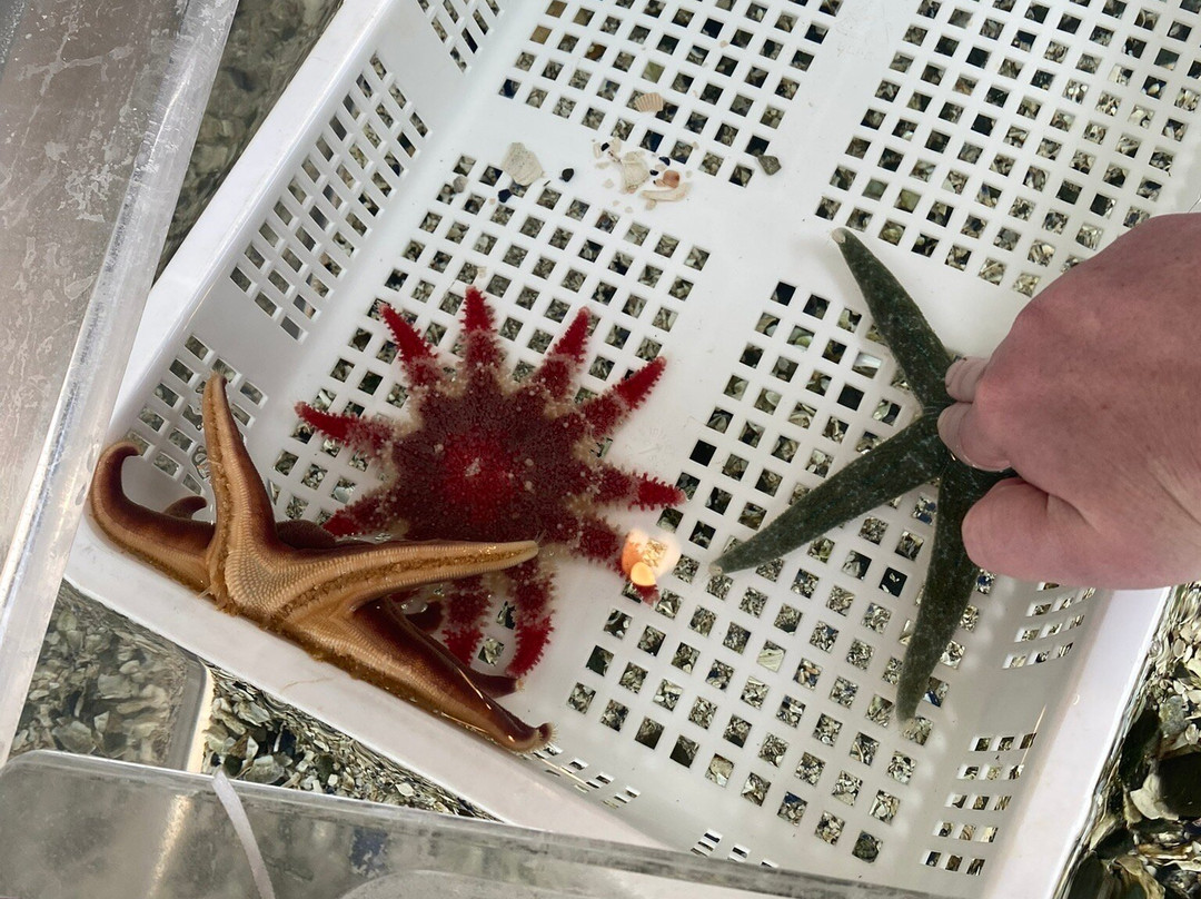 Dipac's Macaulay Salmon Hatchery-朱诺必去景点