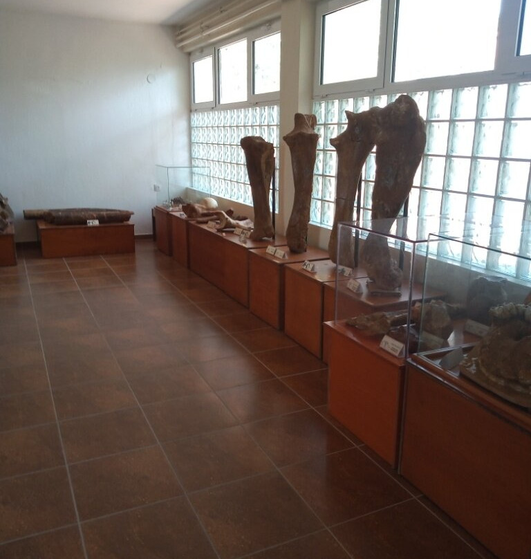 Natural History Museum of Milea景点图片