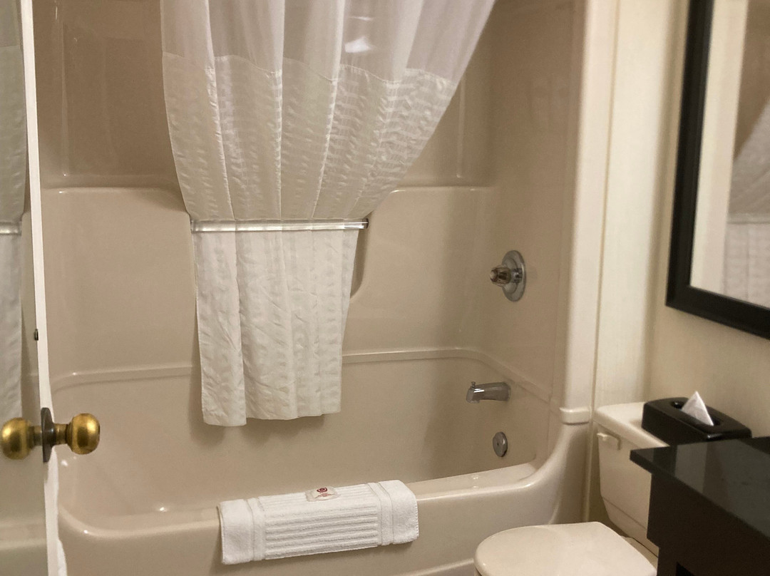 Comfort Inn Sydney主图