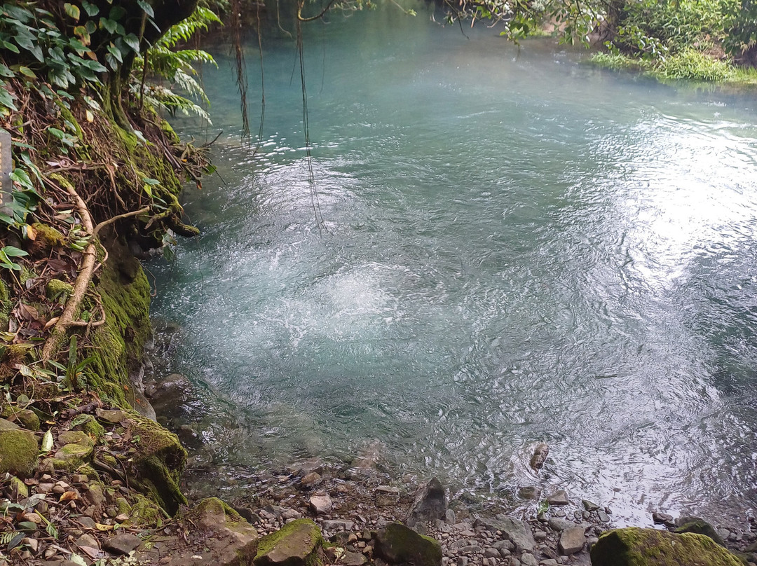 Parque National Volcan Tenorio景点图片