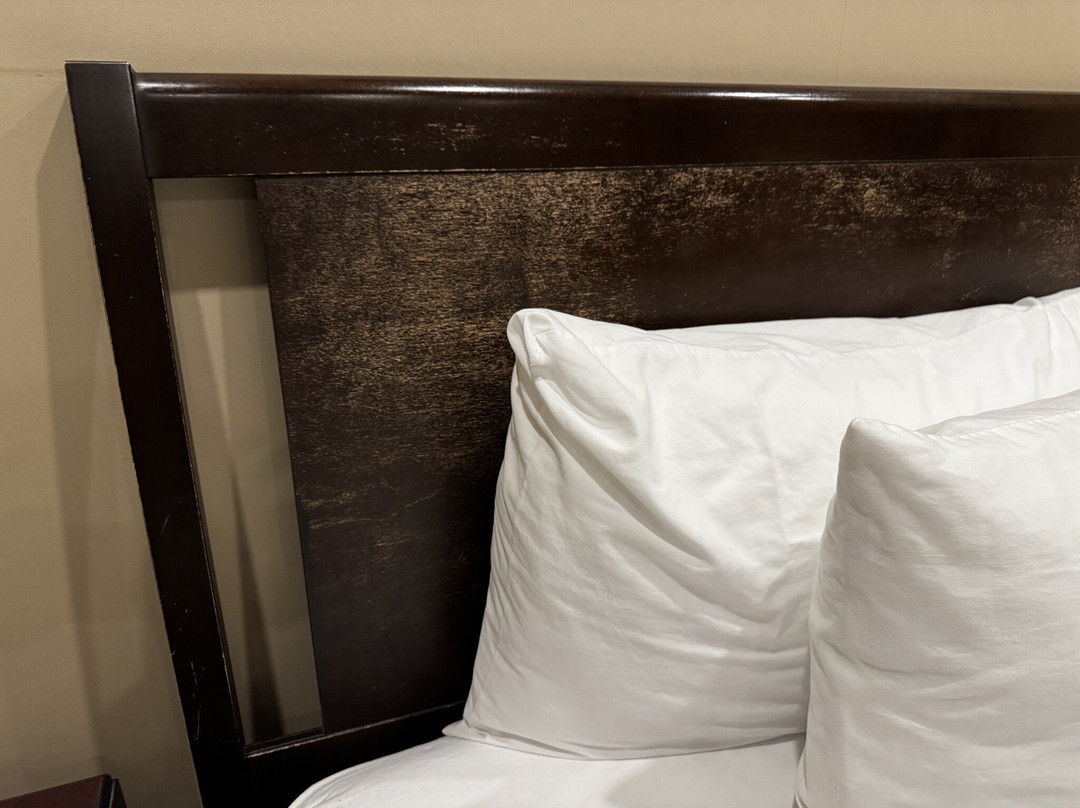 Hôtel Le Rivage主图