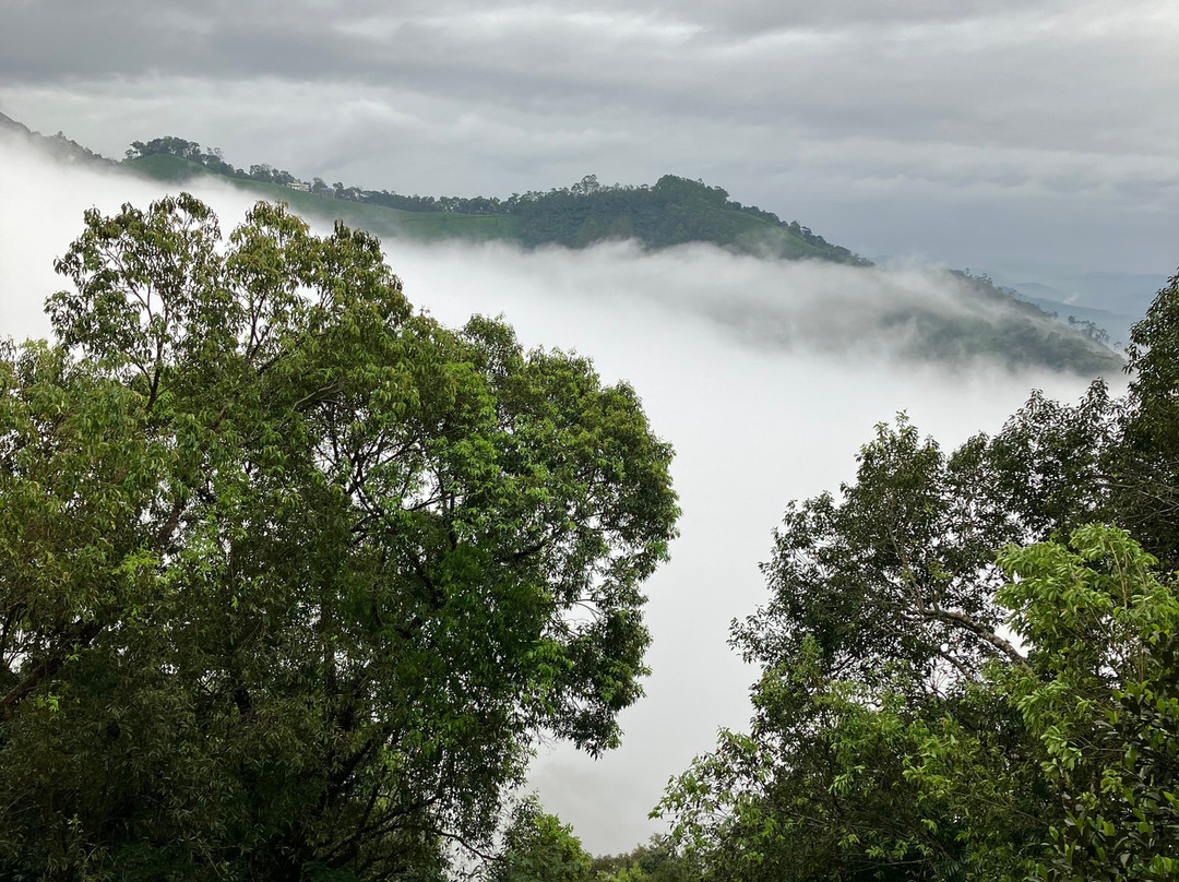 Blackberry Hills Munnar Nature Resort & Spa主图