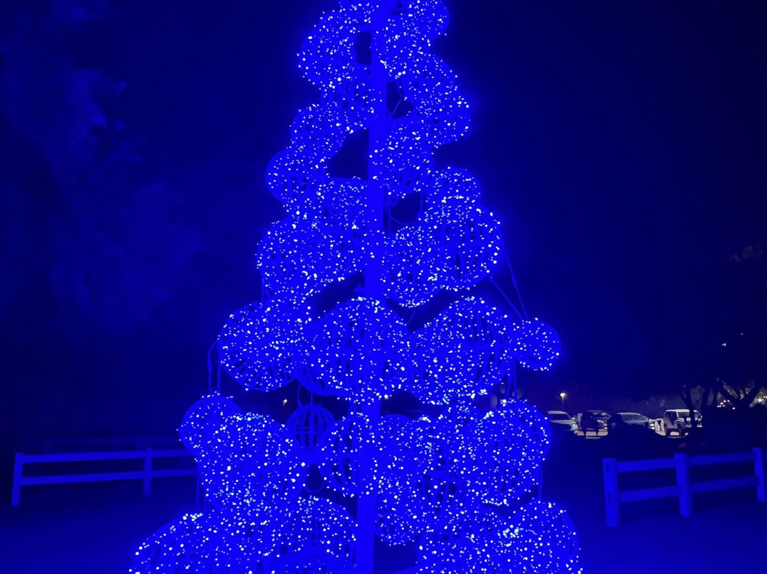 Schnepf Farms-Queen Creek必去景点