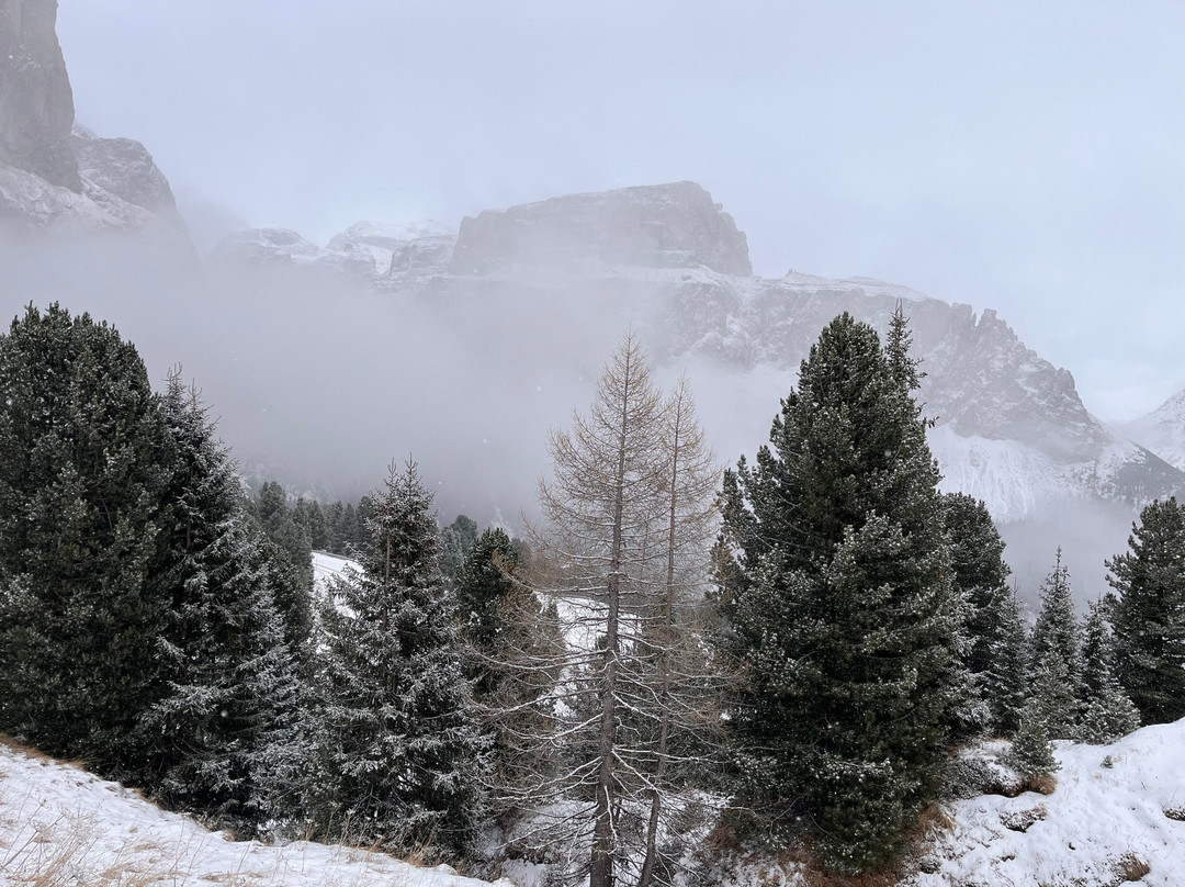 Passo Sella景点图片