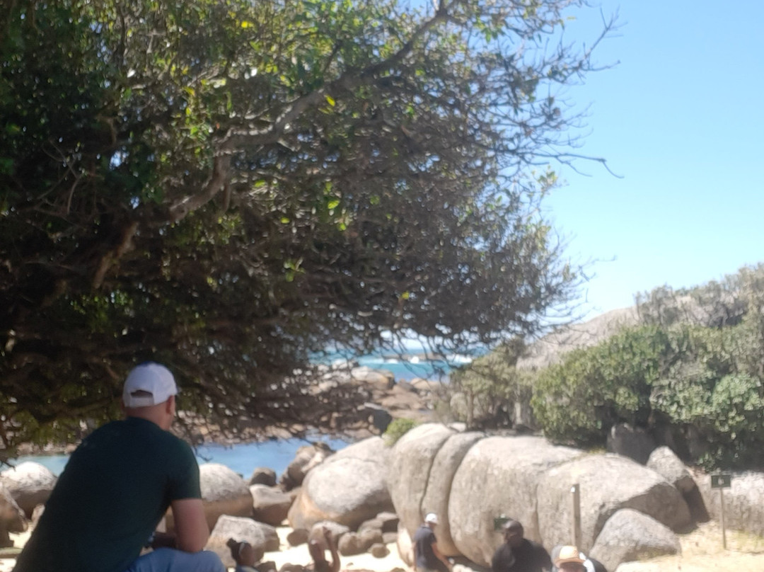 Oudekraal Beach-Cape Point必去景点