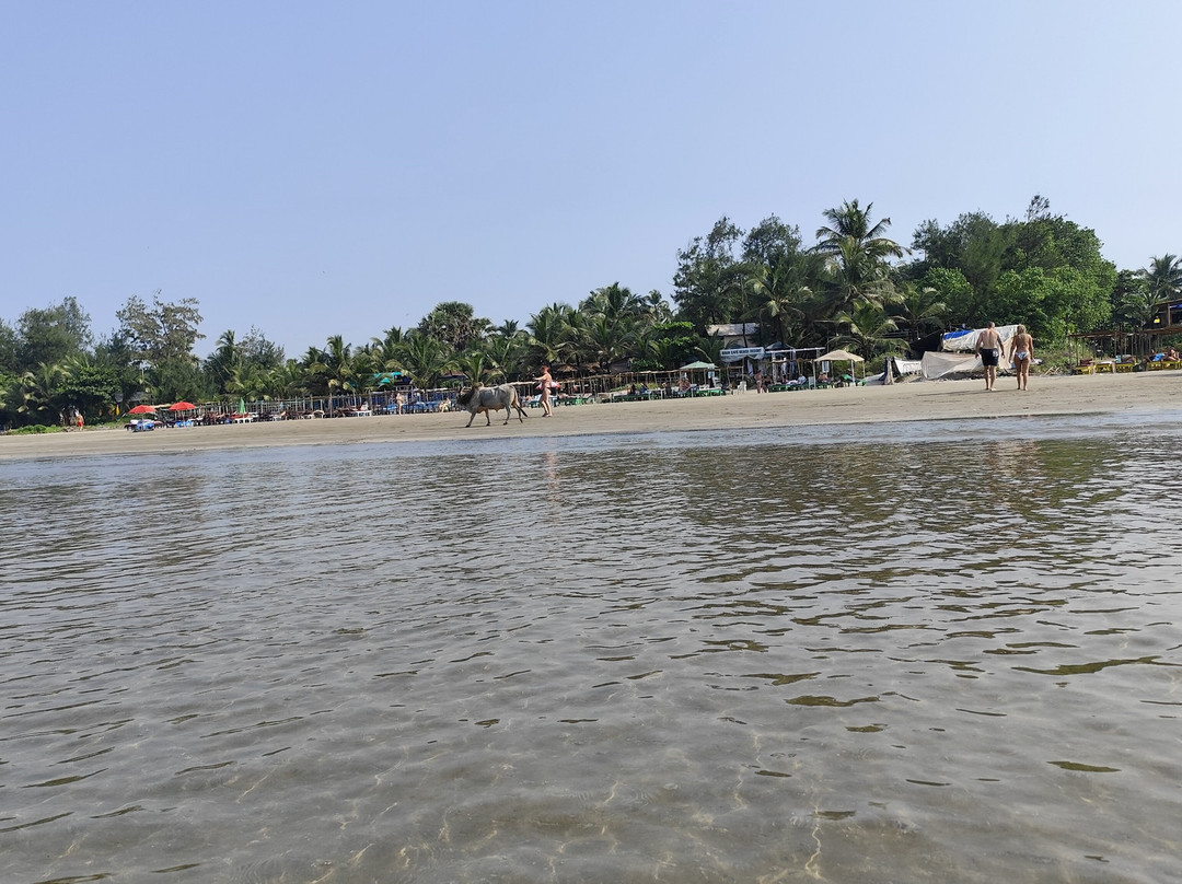 Goan Cafe N Resort主图